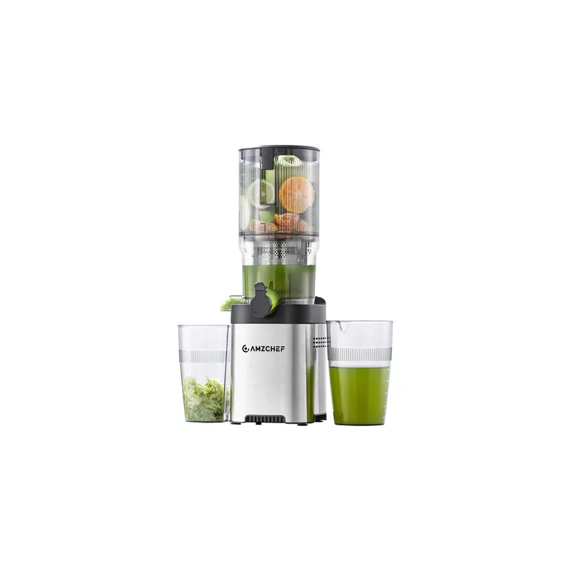AMZCHEF CE-ZM1902B-SV Slow Juicer